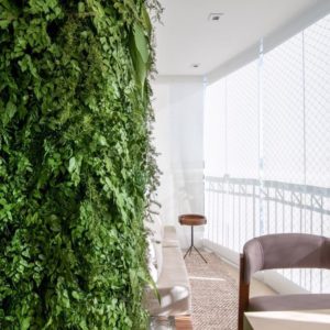 WhatsApp Image 2022-09-05 at 18.13.14